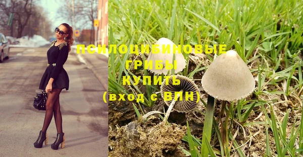 СК Волосово