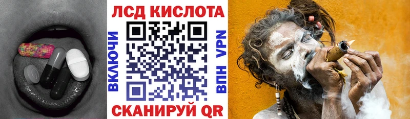 Купить  Оса  Лсд 25 экстази кислота 