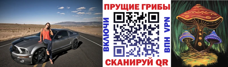 Псилоцибиновые грибы Psilocybe  Купить закладки  Оса 