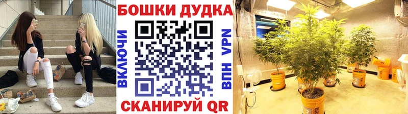 Бошки марихуана индика  Купить где  Оса 
